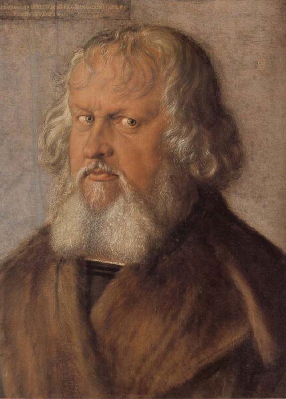 Albrecht Durer Hieronymus Holzschuher oil painting picture